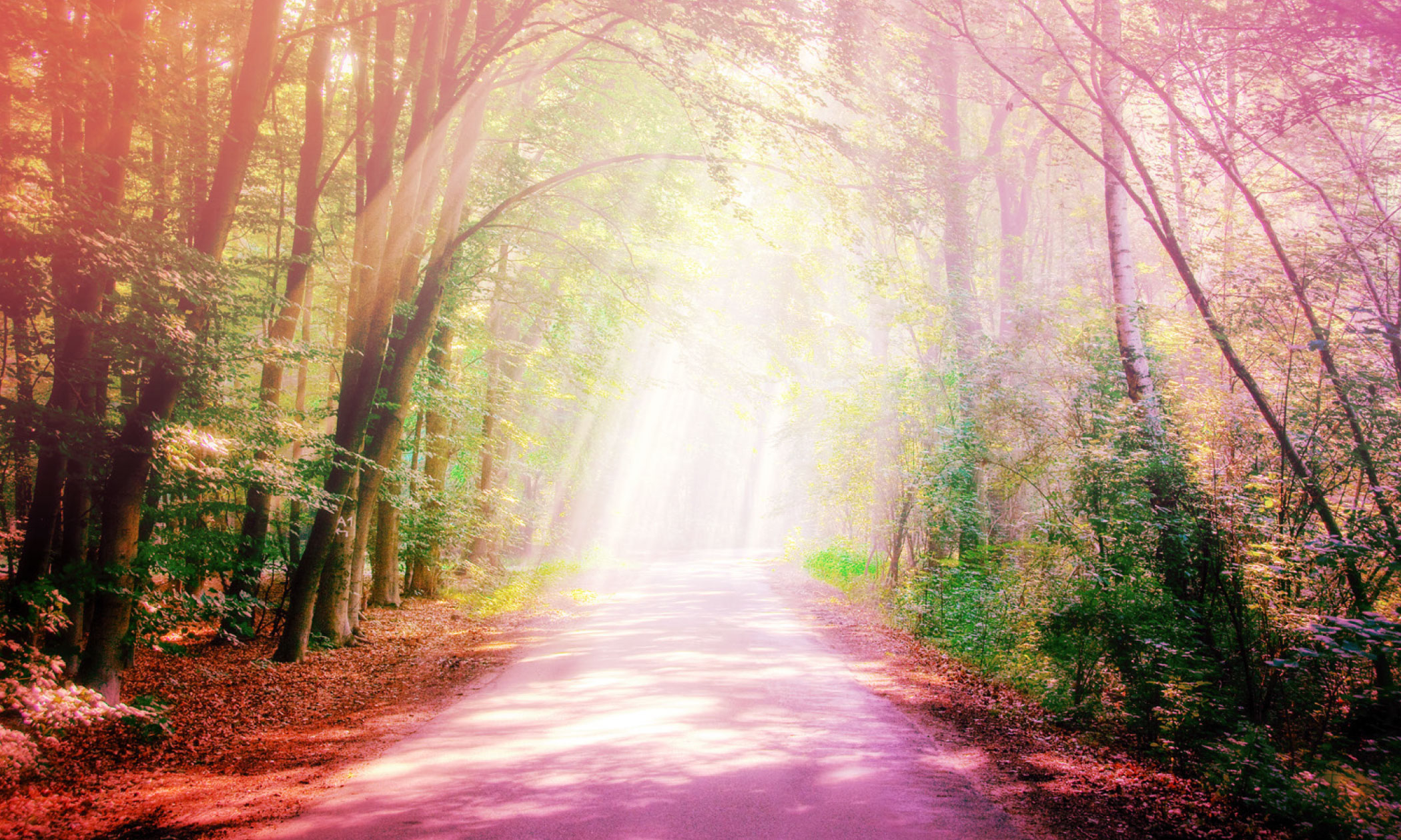 Espiritualidade com a Joana