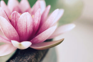 Espiritualidade com a Joana