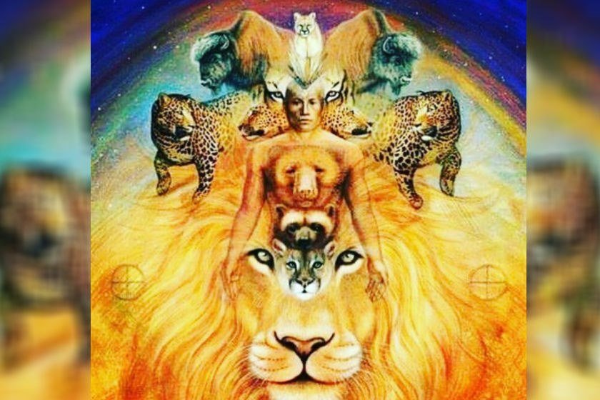 animais de poder
