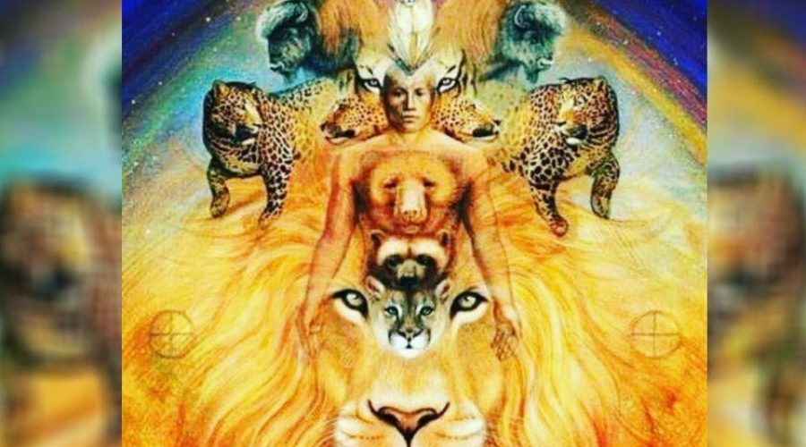 animais de poder